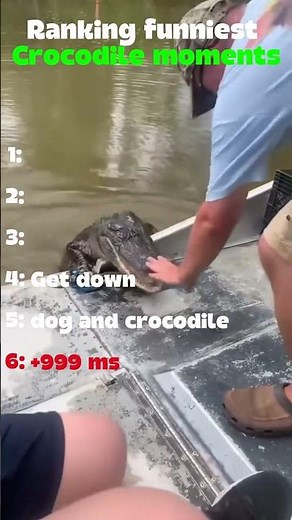 Ranking funniest Crocodile moments #shorts
