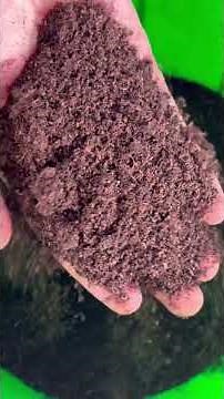 Bucket composting is now very easy!
