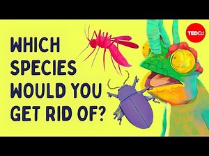 Which species would you get rid of? | Ada, Ep. 5