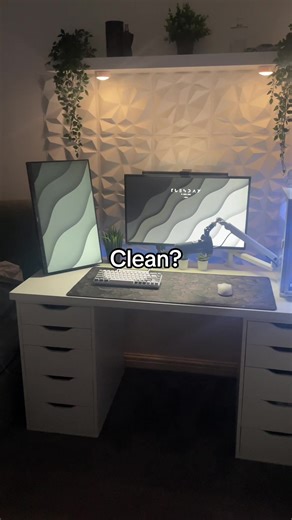 Clean Double Monitor Setup Review