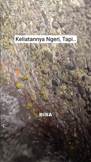 Ini Masalah Besar Buat Jepang #shorts