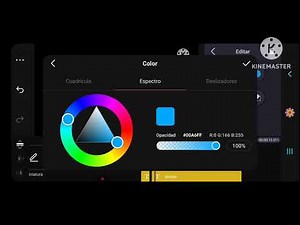 Leader vision logo kinemaster