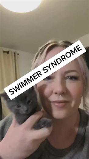 Treating Swimmer Leg Syndrome in Kittens