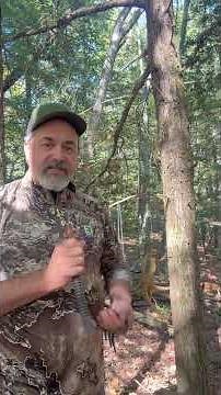 Rattling & Calling whitetail bucks early season New England #rattling #hunting #deer #whitetail