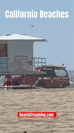 Protecting The Coast! #california #lifeguards #oc