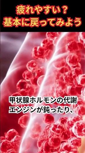 知らないと損する！現代人のためのホルモン解説 〜重要ホルモン6選と日常でできるケア〜 #成長ホルモン #雑学 #ゆっくり解説