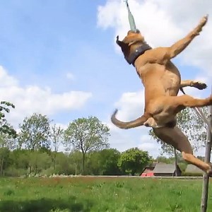 🎶 I believe I can flyyyyyyyy... 🎶 | Try Not to Laugh