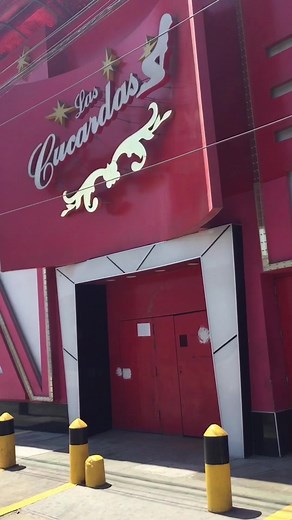 Cucardas: El Chongo en Andahuaylas y Lima