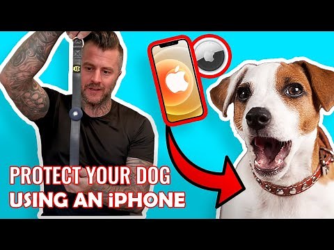 DOG RESCUER reviews best Apple Airtag Collar Attachments from Amazon - Tye Friis