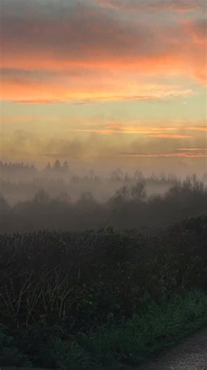 6.8K views · 1.4K reactions | Eire . My wife took this at our...