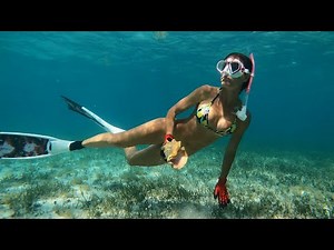 Lobster & Conch of the BAHAMAS