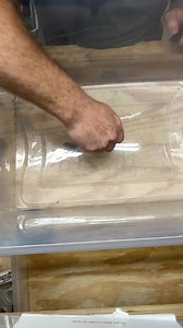 NEW PRODUCT Auto Rescue Tool - Window punch and seatbelt cutter....