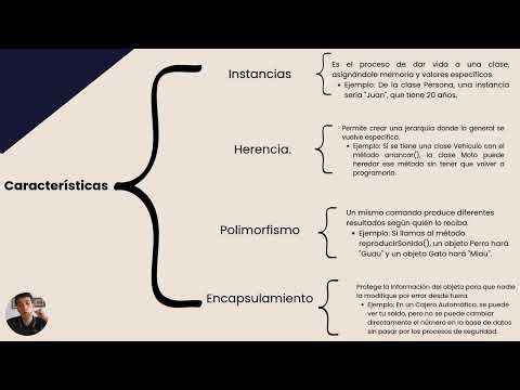 Video Explicativo (POO) y Visual Basic.NET Programación Deivi Vasquez