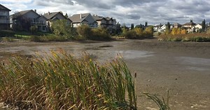 City of Edmonton, EPCOR to track down unbilled properties