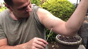 Okay, CHECK THIS OUT! It’s almost Halloween, so this is the perfect time to share a few gross magic stunts. Some of these are dangerous, so be careful if you decide to try them. This video covers how to eat glass, drink Windex, stab a skewer through your arm and through your tongue! Full Tutorial Here: https://youtu.be/PXV9s1wZs1E | Mind Blown Magic Illusion