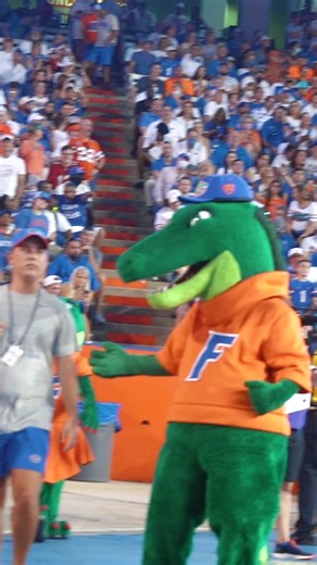 We like it when you #wigglewiggle, Albert #FloridaGators #Dancing #mascot