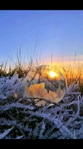 #BackToNature | Back To Nature