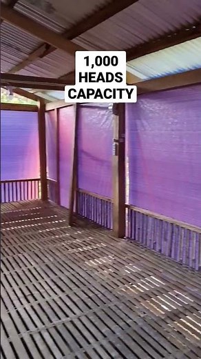 Building a 1,000-1,250 Capacity sustainable #Poultry House! (Brooder/Grower)