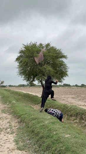 Black Owls Birds Hunting 🦉 #Amazing #owls #hunting | Black Wild Farming