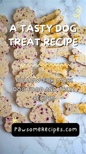 Baked Apple Cranberry Dog Treats with Coconut Flour are a delicious and nutritious grain-free homemade treat for your furry friend. #dogtreats #healthydogtreats #homemadedogsnacks #dogrecipes #pawsomerecipes https://pawsomerecipes.com/baked-apple-cranberry-dog-treats/ | Pawsome Recipes