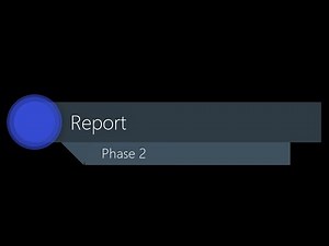 Phase 2 Step 9 - Report