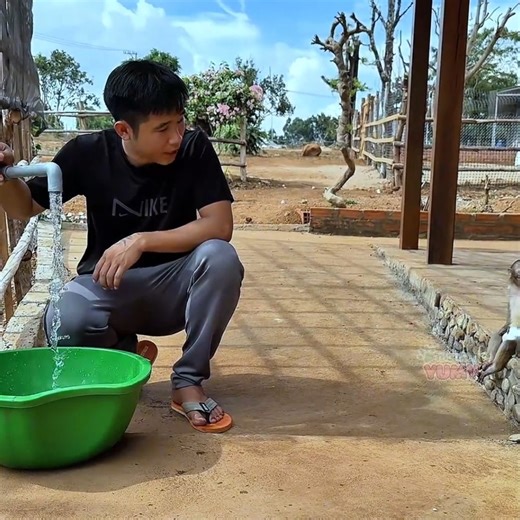 20K views · 430 reactions | Monkey Yumy is so excited to get a bath from Dad | Baby YiYi Monkey | Facebook