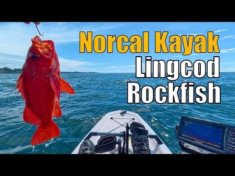 NorCal Kayak Fishing: Lingcod & Rockfish (Spring 2026)