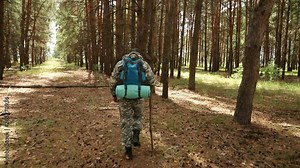 the camera moves behind the traveler in camouflage clothes, a cap and with a backpack, in a pine forest in clear weather, rear view, close-up