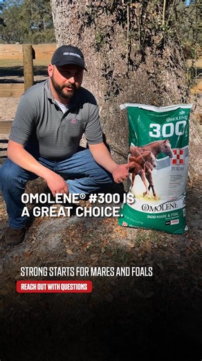 🐴 If you’re looking for a quality textured feed for your mares and foals, consider Purina® Omolene® #300 Mare & Foal. 📲 Reach out today to learn more or start a feeding trial! #FeedGreatness #YourLocalPurinaExpert | Purina Sales Specialist Warren Soergel