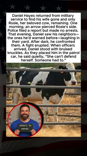 Veteran Defends Injured Cow When Police Fail