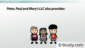 The Basics of LLCs: Limited Liability Companies