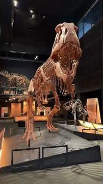 Traveling Across Spain with Family | Barcelona, Madrid, Beaches & Monuments 2