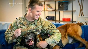 Retired military dog who served in Iraq reunited with former handler