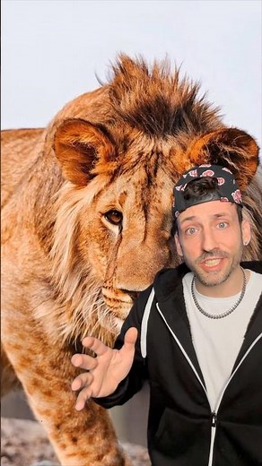 Leopard and Lion hybrid 👀 #zoology