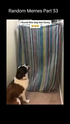 Random Memes Part 53 #memes #fyp #foryoupage #fypシ #foryou #funny #comedy #viral #jokes #randommemes
