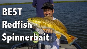 The BEST Redfish Spinnerbait: Hall's HD Spinnerbait