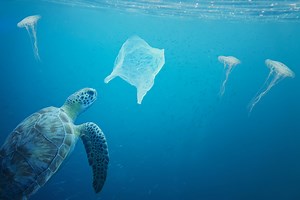 Plastic Reduction - Ocean Wise