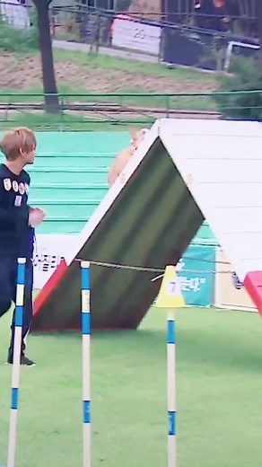 Bts with dogs😍 #태형