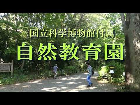 国立科学博物館付属 自然教育園