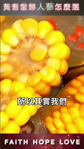 人蔘適合你嗎？黃耆當歸湯秘方公開！🩸補血族群必看食用指南