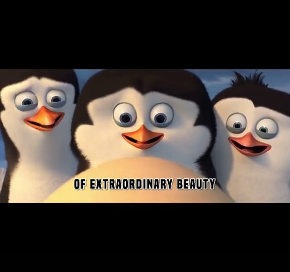 Are you my family? #penguinsofmadagascar #penguinsofmadagascarmovie #madagascar #fyp #foryou #fy #funny