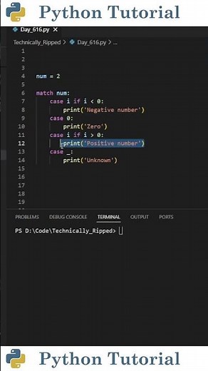 Adding Conditions/Guards to Match-Case Statements | Python Tutorial
