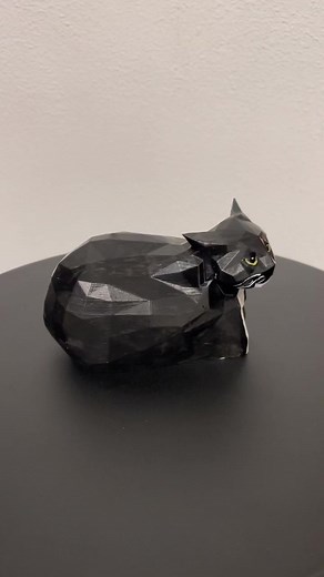 Exploring Maxwell the Cat in the 3D Printing World