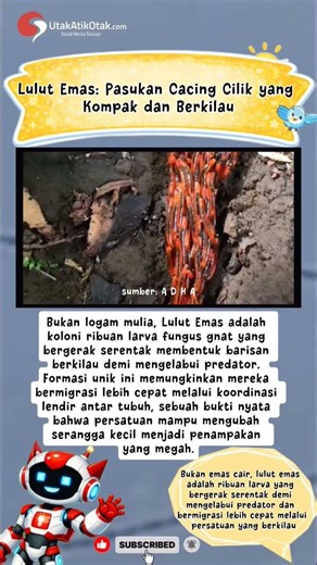 Rahasia Barisan Ulat Berkilau si Lulut Emas