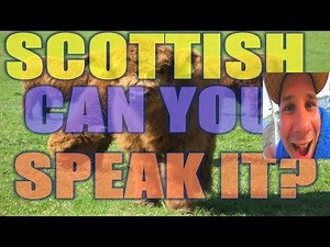 GUIDE TO SCOTTISH WORDS AND SAYINGS / SLANG: PART 1