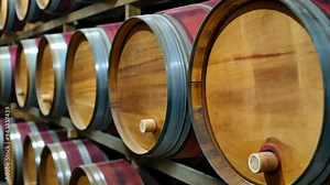 process of aging wine in oak barrels in the wine cellar