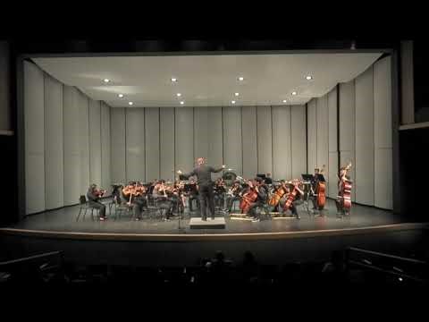 TJHS Chamber Orchestra - Air for Strings - Norman Dello Joio