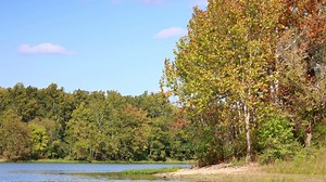 US climate center releases fall 2024 outlook for Indiana