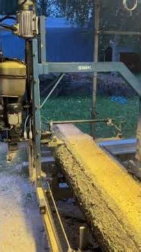 Cutting an 800 kg Spouse Log with an 3/8”Skip chain