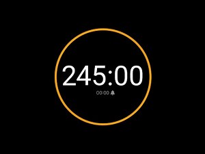 245 Minute Timer with Alarm / iPhone Timer Style